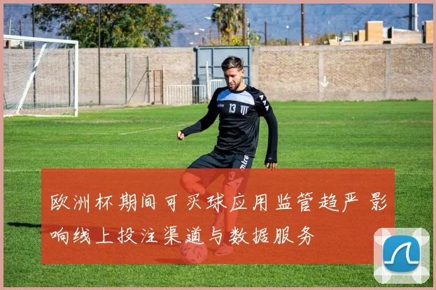 欧洲杯期间可买球应用监管趋严 影响线上投注渠道与数据服务